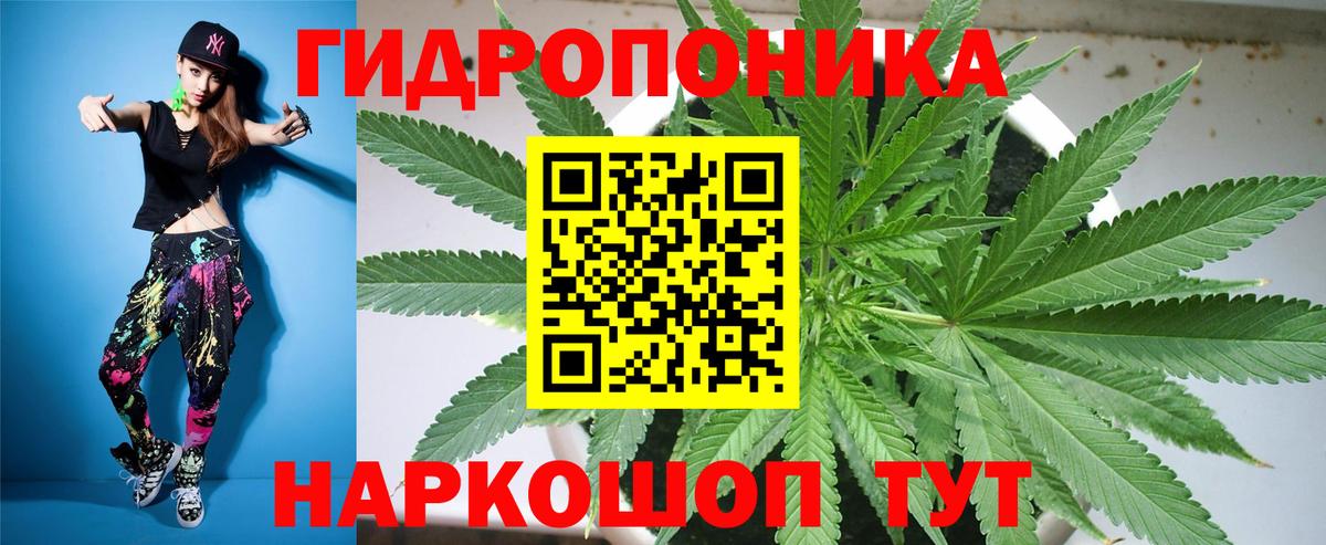 Канабис конопля Всеволожск